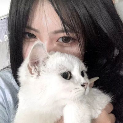 大诛仙sf公益服下载